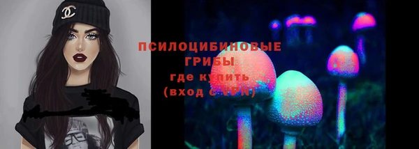 ешки Алексин