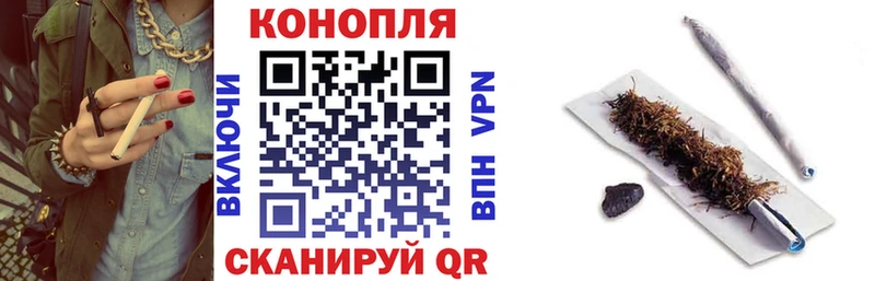 Конопля семена  купить  цена  Зея 